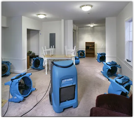Basement Flood Cleanup in Tallmadge, MI